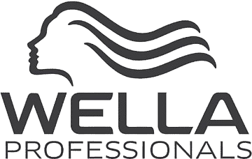 png transparent text box wella logo cosmetics beauty parlour hair hair care hair removal thumbnail removebg preview